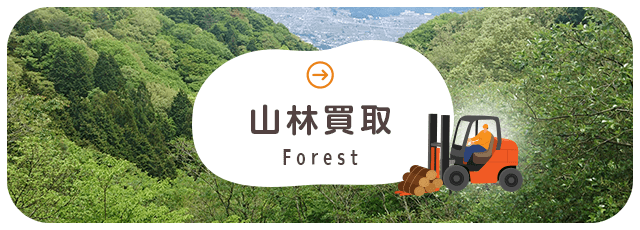 sp_bnr_forest