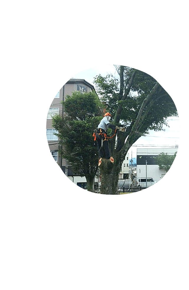 お客様の要望に寄り添い、叶える！　山林木工建機に後世へ続く安心をお任せください。